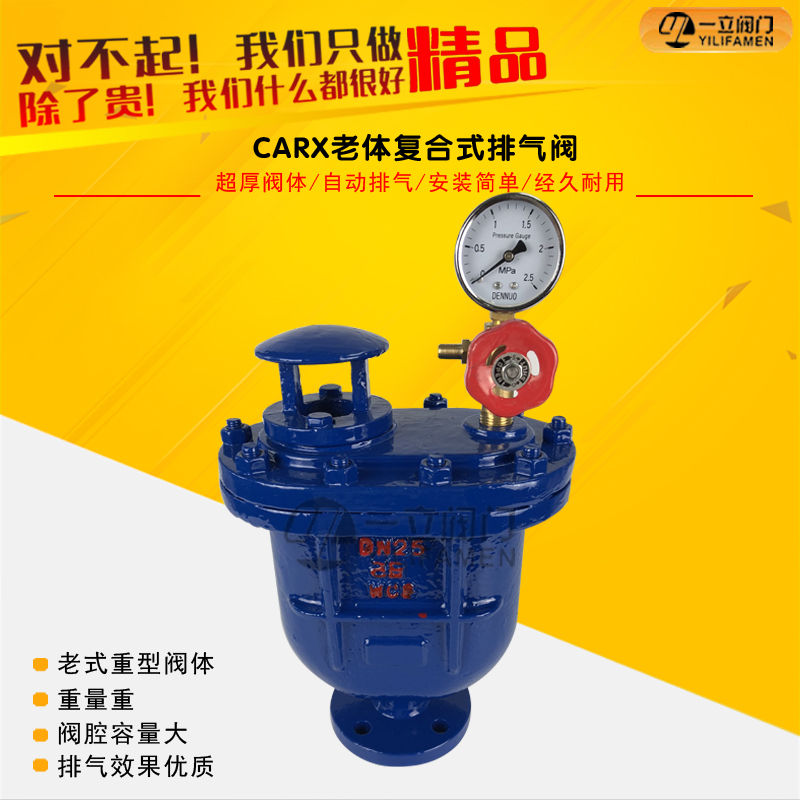 CARX老体复合式排气阀