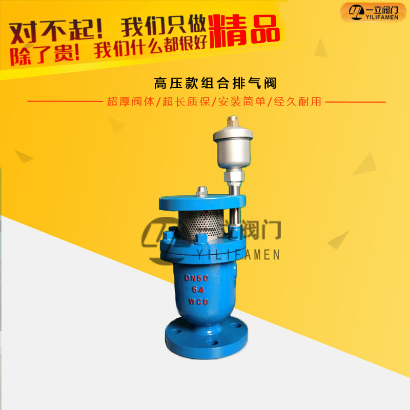 高压款组合排气阀