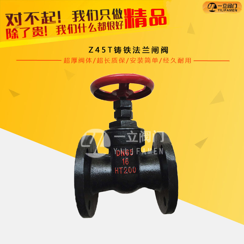 Z45T铸铁法兰闸阀