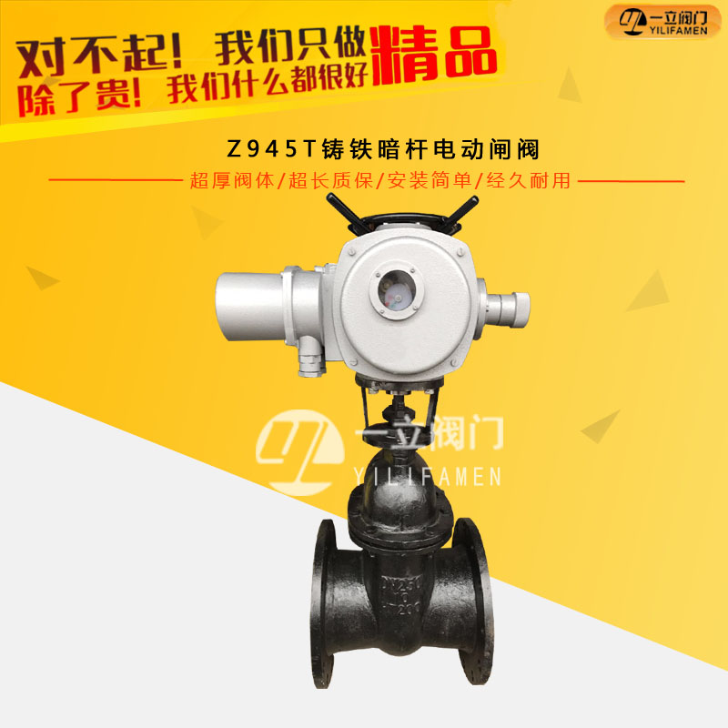 Z945T铸铁暗杆电动闸阀