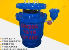 自动排气阀的市场趋势是什么？